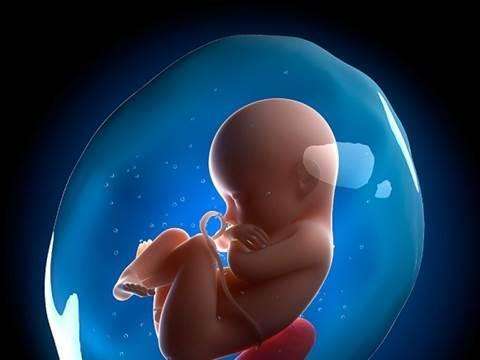 西藏胎儿西藏亲子鉴定